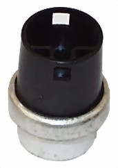 Temperaturgeber T3 251919501